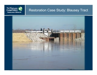 Restoration Case Study: Blausey Tract
 