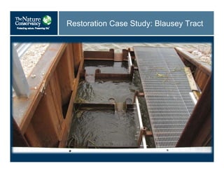 Restoration Case Study: Blausey Tract
 