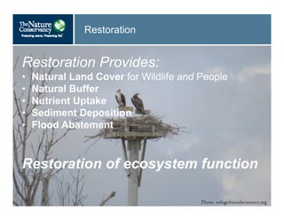 Restoration
Restoration Provides:
• Natural Land Cover for Wildlife and People
• Natural Buffer
• Nutrient Uptake
• Sediment Deposition
• Flood Abatement
Restoration of ecosystem function
 