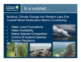In a nutshell…
Building Climate Change into Western Lake Erie
Coastal Marsh Restoration Means Considering:
• Water Level Fluctuations
• Water Availability
• Native Species Composition
• Control of Invasive Species
• System Resiliency
 