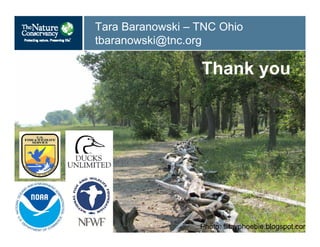 Tara Baranowski – TNC Ohio
tbaranowski@tnc.org
Thank you
Photo: flitzyphoebie.blogspot.com
 
