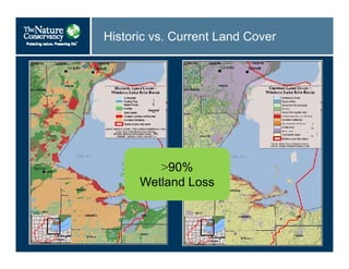Historic vs. Current Land Cover
>90%
Wetland Loss
 