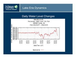 Lake Erie Dynamics
Daily Water Level Changes
 