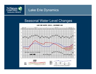 Lake Erie Dynamics
Seasonal Water Level Changes
 