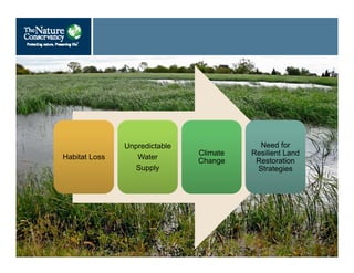 Habitat LossHabitat Loss
Unpredictable
Water
Supply
Unpredictable
Water
Supply
Climate
Change
Climate
Change
Need for
Resilient Land
Restoration
Strategies
Need for
Resilient Land
Restoration
Strategies
 