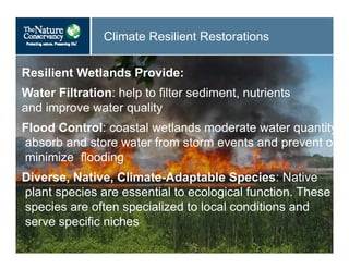Climate Resilient Restorations
Resilient Wetlands Provide:
Water Filtration: help to filter sediment, nutrients
and improve water quality
Flood Control: coastal wetlands moderate water quantity
absorb and store water from storm events and prevent o
minimize flooding
Diverse, Native, Climate-Adaptable Species: Native
plant species are essential to ecological function. These
species are often specialized to local conditions and
serve specific niches
 