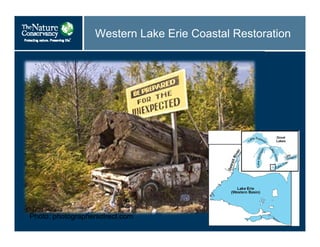 Western Lake Erie Coastal Restoration
Photo: photographersdirect.com
 