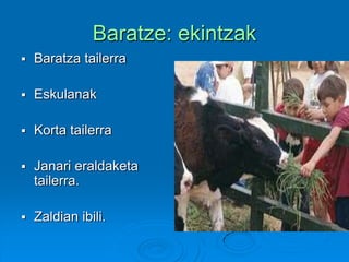 Baratze: ekintzak
 Baratza tailerra
 Eskulanak
 Korta tailerra
 Janari eraldaketa
tailerra.
 Zaldian ibili.
 