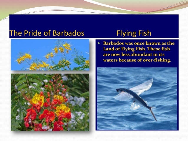 Barbados - Essential Facts