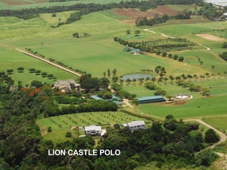 LION CASTLE POLO
