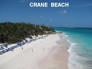BARBADOS BEACH