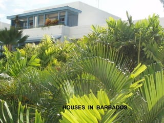 HOUSES IN BARBADOS