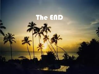 The END
 
