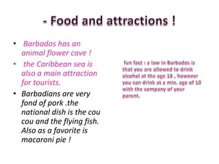 • Barbados has an
  animal flower cave !
• the Caribbean sea is
  also a main attraction
  for tourists.
• Barbadians are very
  fond of pork .the
  national dish is the cou
  cou and the flying fish.
  Also as a favorite is
  macaroni pie !
 