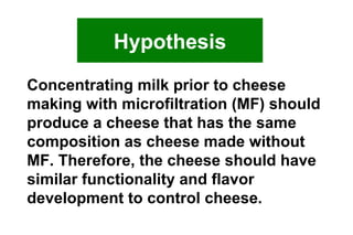 Concentrating milk prior to cheese making with microfiltration (MF) should produce a cheese that has the same composition as cheese made without MF. Therefore, the cheese should have similar functionality and flavor development to control cheese. Hypothesis 