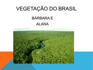 VEGETAÇÃO DO BRASIL
BÁRBARA E
ALANA
 