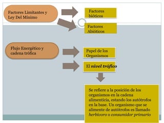 Factores
Abióticos
Factores
bióticos
Factores Limitantes y
Ley Del Mínimo
Flujo Energético y
cadena trófica
Papel de los
Organismos
El nivel trófico
Se refiere a la posición de los
organismos en la cadena
alimenticia, estando los autótrofos
en la base. Un organismo que se
alimente de autótrofos es llamado
herbívoro o consumidor primario
 