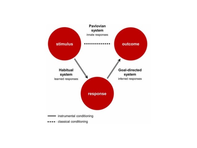 Mental Flexibility - Educational