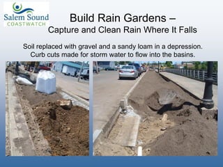 Build Rain Gardens –
Capture and Clean Rain Where It Falls
Soil replaced with gravel and a sandy loam in a depression.
Curb cuts made for storm water to flow into the basins.
 