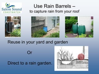 Use Rain Barrels –
to capture rain from your roof
Reuse in your yard and garden
Or
Direct to a rain garden.
 