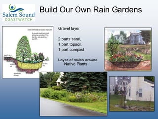 Gravel layer
2 parts sand,
1 part topsoil,
1 part compost
Layer of mulch around
Native Plants
Build Our Own Rain Gardens
 