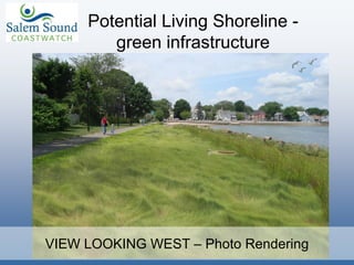 VIEW LOOKING WEST – Photo Rendering
Potential Living Shoreline -
green infrastructure
 