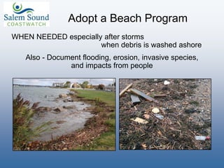 WHEN NEEDED especially after storms
when debris is washed ashore
Also - Document flooding, erosion, invasive species,
and impacts from people
Adopt a Beach Program
 