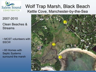 Wolf Trap Marsh, Black Beach
Kettle Cove, Manchester-by-the-Sea
1
2
3
2007-2010
Clean Beaches &
Streams
• MCST volunteers with
SSCW
• 60 Homes with
Septic Systems
surround the marsh
 