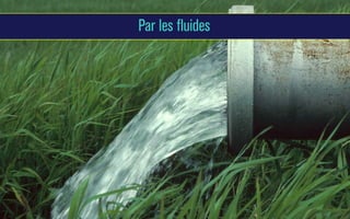 Par les fluides

 