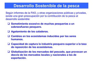 Desarrollo sostenible y pesca