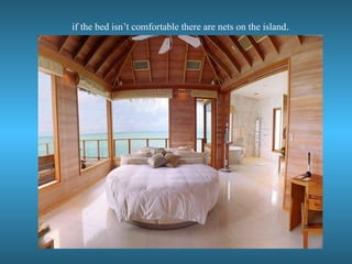 if the bed isn’t comfortable there are nets on the island .