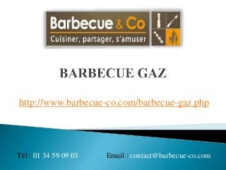 http://www.barbecue-co.com/barbecue-gaz.php




Tél : 01 34 59 09 03   Email : contact@barbecue-co.com
 