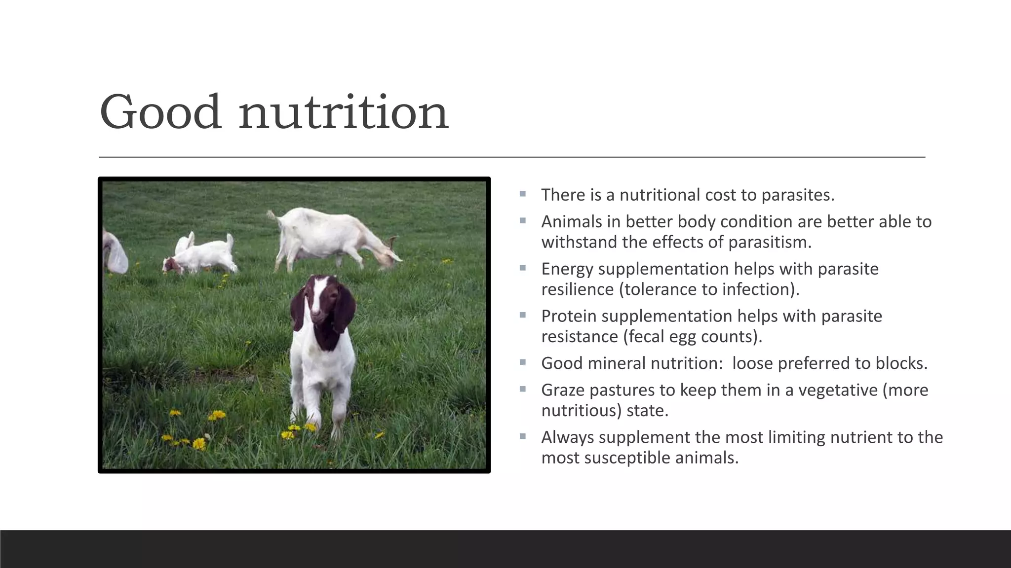 Good nutrition
 There is a nutritional cost to parasites.
 Animals in better body condition are better able to
withstand the effects of parasitism.
 Energy supplementation helps with parasite
resilience (tolerance to infection).
 Protein supplementation helps with parasite
resistance (fecal egg counts).
 Good mineral nutrition: loose preferred to blocks.
 Graze pastures to keep them in a vegetative (more
nutritious) state.
 Always supplement the most limiting nutrient to the
most susceptible animals.
 
