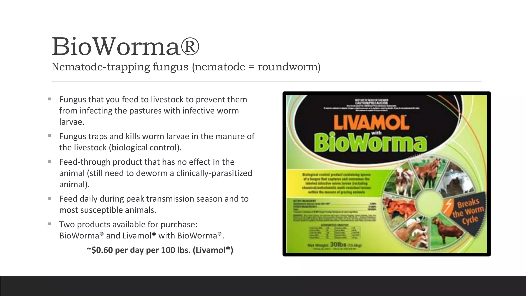 BioWorma®
Nematode-trapping fungus (nematode = roundworm)
 Fungus that you feed to livestock to prevent them
from infecting the pastures with infective worm
larvae.
 Fungus traps and kills worm larvae in the manure of
the livestock (biological control).
 Feed-through product that has no effect in the
animal (still need to deworm a clinically-parasitized
animal).
 Feed daily during peak transmission season and to
most susceptible animals.
 Two products available for purchase:
BioWorma® and Livamol® with BioWorma®.
~$0.60 per day per 100 lbs. (Livamol®)
 