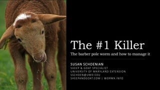 The #1 Killer
The barber pole worm and how to manage it
SUSAN SCHOENIAN
SHEEP & GOAT SPECIALIST
UNIVERSITY OF MARYLAND EXTENSION
SSCHOEN@UMD.EDU
SHEEPANDGOAT.COM | WORMX.INFO
 