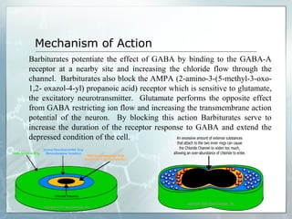 Mechanism of Action
Barbiturates potentiate the effect of GABA by binding to the GABA-A
receptor at a nearby site and increasing the chloride flow through the
channel. Barbiturates also block the AMPA (2-amino-3-(5-methyl-3-oxo-
1,2- oxazol-4-yl) propanoic acid) receptor which is sensitive to glutamate,
the excitatory neurotransmitter. Glutamate performs the opposite effect
from GABA restricting ion flow and increasing the transmembrane action
potential of the neuron. By blocking this action Barbiturates serve to
increase the duration of the receptor response to GABA and extend the
depressed condition of the cell.
 
