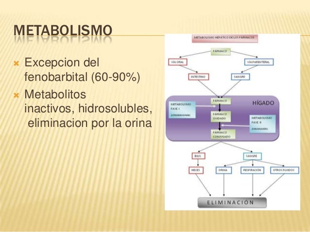 Las clínicas de rehabilitación del alcoholismo