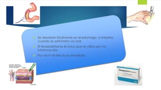 11 
 Se absorben fácilmente en el estomago e intestino 
cuando se administra vía oral. 
 El fenobarbital es el único que se utiliza por vía 
intramuscular. 
 Por vía IV el efecto es inmediato. 
 