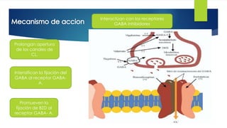32 
Interactúan con los receptores 
GABA inhibidores 
Prolongan apertura 
de los canales de 
CL. 
Intensifican la fijación del 
GABA al receptor GABA-A. 
Promueven la 
fijación de BZD al 
receptor GABA- A. 
 