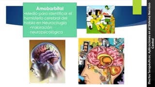 Amobarbital 36 
•Medio para identificar el 
hemisferio cerebral del 
habla en Neurocirugía 
•Valoración 
neuropsicológica 
Efectos Terapéuticos: Aplicaciones en el Sistema Nervioso 
Central 
 