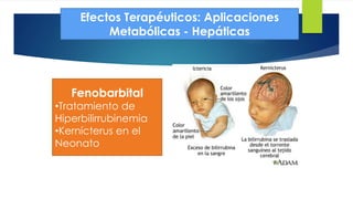 38 
Efectos Terapéuticos: Aplicaciones 
Metabólicas - Hepáticas 
Fenobarbital 
•Tratamiento de 
Hiperbilirrubinemia 
•Kernícterus en el 
Neonato 
 