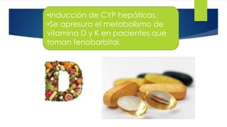 •Inducción de CYP hepáticas. 47 
•Se apresura el metabolismo de 
vitamina D y K en pacientes que 
toman fenobarbital. 
 