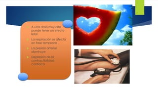 53 
 A una dosis muy alta 
puede tener un efecto 
letal. 
 La respiración se afecta 
en fase temprana 
 La presión arterial 
disminuye 
 Depresión de la 
contractibilidad 
cardiaca 
 