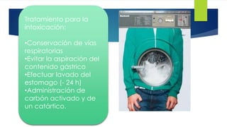 55 
Tratamiento para la 
intoxicación: 
•Conservación de vías 
respiratorias 
•Evitar la aspiración del 
contenido gástrico 
•Efectuar lavado del 
estomago (- 24 h) 
•Administración de 
carbón activado y de 
un catártico. 
 