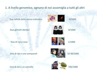 1. A livello genomico, ognuno di noi assomiglia a tutti gli altri
Due cellule dello stesso individuo 0/1000
Due gemelli identici 0/1000
Due di noi a caso 1/1000
Uno di noi e uno scimpanzè 10-30/1000
Uno di noi e un carciofo 700/1000
 