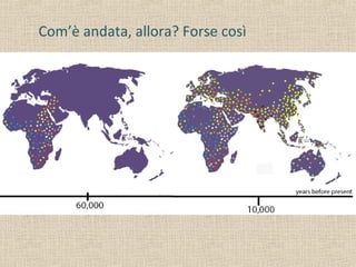 Com’è andata, allora? Forse così
 