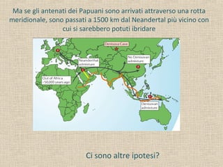 Ma se gli antenati dei Papuani sono arrivati attraverso una rotta
meridionale, sono passati a 1500 km dal Neandertal più vicino con
cui si sarebbero potuti ibridare
Ci sono altre ipotesi?
 
