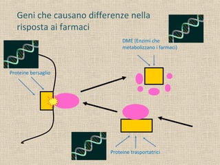 Proteine bersaglio
DME (Enzimi che
metabolizzano i farmaci)
Proteine trasportatrici
Geni che causano differenze nella
risposta ai farmaci
 