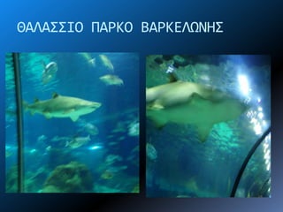 ΘΑΛΑ΢΢ΙΟ ΠΑΡΚΟ ΒΑΡΚΕΛΩΝΗ΢
 