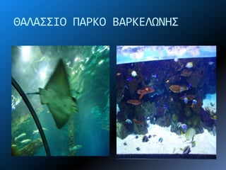 ΘΑΛΑ΢΢ΙΟ ΠΑΡΚΟ ΒΑΡΚΕΛΩΝΗ΢
 